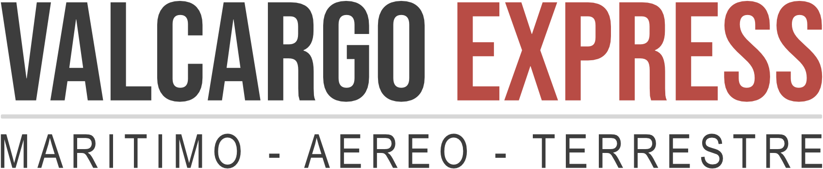 Polo Logo
